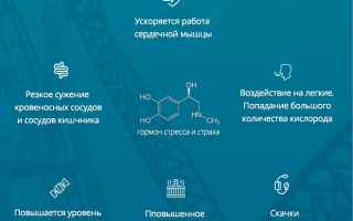 Как действует адреналин