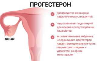 Что такое прогестерон?