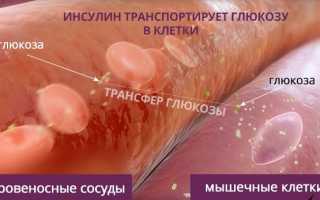 Что такое глюкагон?
