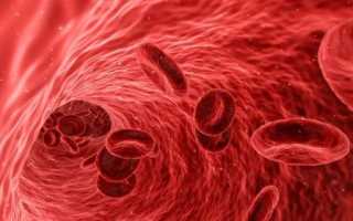Как поднять гематокрит в крови