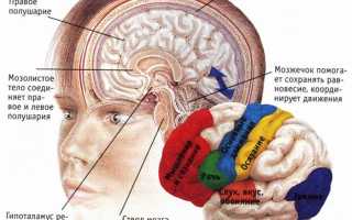 Степени сотрясения головного мозга у взрослых