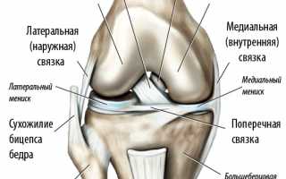 Растяжение связок коленного сустава: признаки, причины, диагностика и лечение