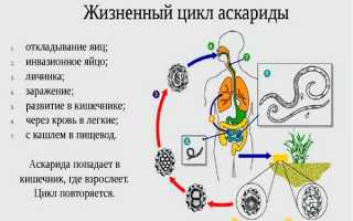 Лекарственные средства и таблетки для лечения аскарид у детей