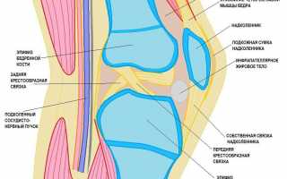Супрапателлярный бурсит коленного сустава: симптомы и признаки, особенности лечения
