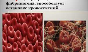 Фибриновые нити что это